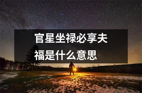 官星坐禄必享夫福是什么意思