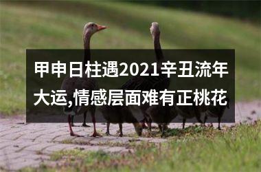 甲申日柱遇2025辛丑流年大运,情感层面难有正桃花