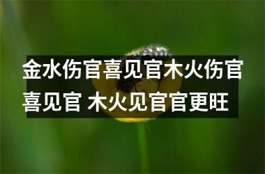 <h3>金水伤官喜见官木火伤官喜见官 木火见官官更旺