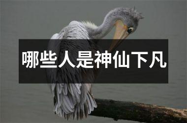 <h3>哪些人是神仙下凡