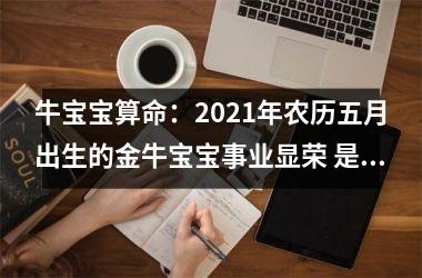 <h3>牛宝宝算命：2025年农历五月出生的金牛宝宝事业显荣 是上等命