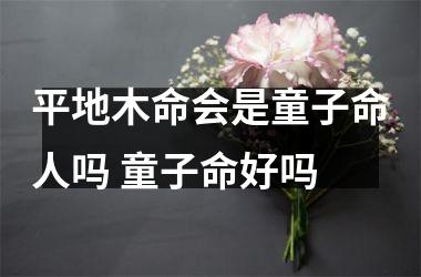 <h3>平地木命会是童子命人吗 童子命好吗