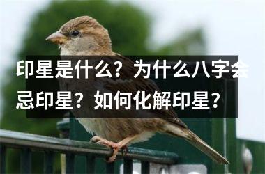 印星是什么？为什么八字会忌印星？如何化解印星？