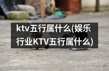 ktv五行属什么(娱乐行业KTV五行属什么)
