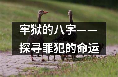 <h3>牢狱的八字——探寻罪犯的命运