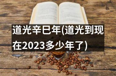 道光辛巳年(道光到现在2025多少年了)