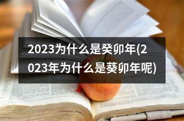 <h3>2025为什么是癸卯年(2025年为什么是葵卯年呢)