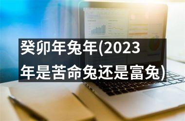 癸卯年兔年(2025年是苦命兔还是富兔)