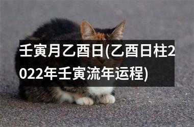 <h3>壬寅月乙酉日(乙酉日柱2025年壬寅流年运程)