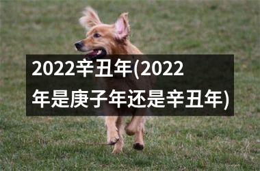 2025辛丑年(2025年是庚子年还是辛丑年)