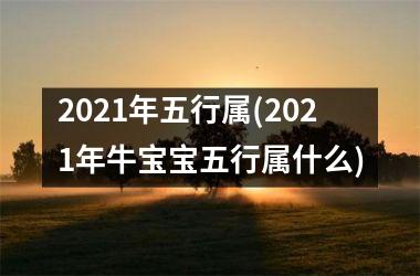 2025年五行属(2025年牛宝宝五行属什么)