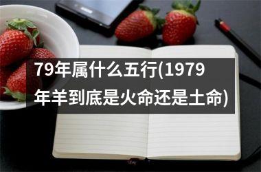 79年属什么五行(1979年羊到底是火命还是土命)