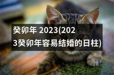 癸卯年 2025(2025癸卯年容易结婚的日柱)