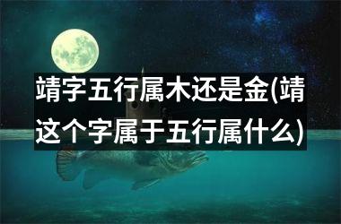 靖字五行属木还是金(靖这个字属于五行属什么)