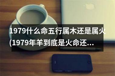 <h3>1979什么命五行属木还是属火(1979年羊到底是火命还是土命)