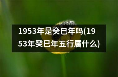 1953年是癸巳年吗(1953年癸巳年五行属什么)