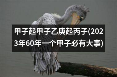 <h3>甲子起甲子乙庚起丙子(2025年60年一个甲子必有大事)