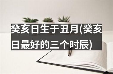 癸亥日生于丑月(癸亥日最好的三个时辰)