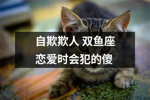 自欺欺人双鱼座恋爱时会犯的傻