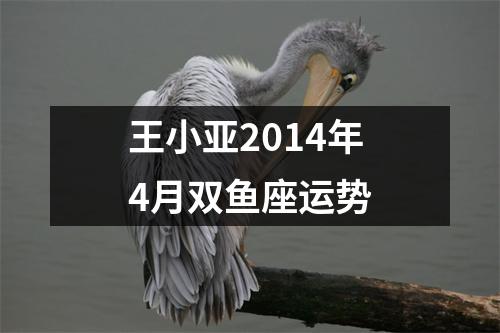 王小亚2014年4月双鱼座运势