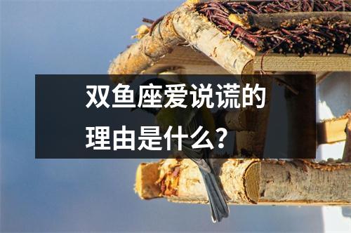 双鱼座爱说谎的理由是什么？