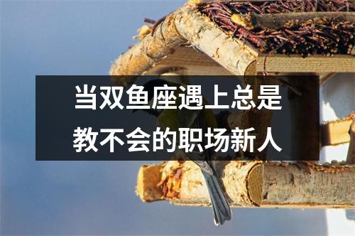 当双鱼座遇上总是教不会的职场新人