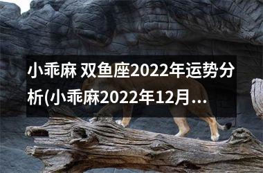 小乖麻 双鱼座2025年运势分析(小乖麻2025年12月双鱼座运势)