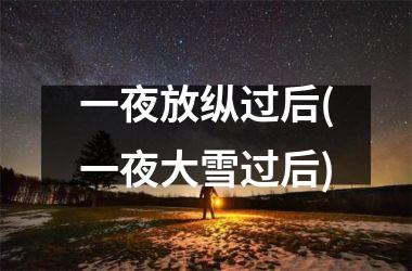 <h3>一夜放纵过后(一夜大雪过后)