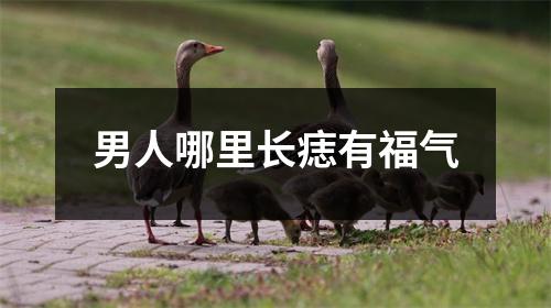 男人哪里长痣有福气