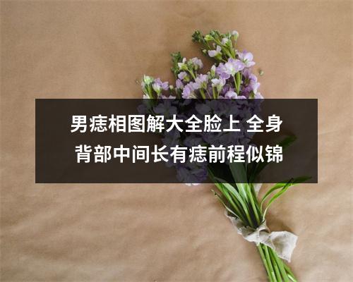 男痣相图解大全脸上全身背部中间长有痣前程似锦