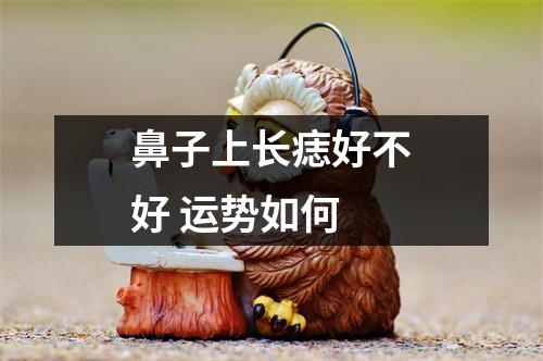 <h3>鼻子上长痣好不好运势如何