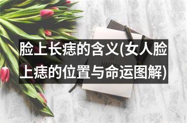 脸上长痣的含义(女人脸上痣的位置与命运图解)