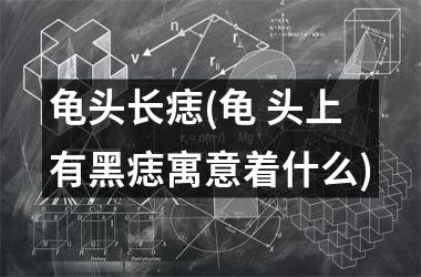 <h3>龟头长痣(龟 头上有黑痣寓意着什么)