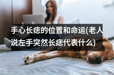 手心长痣的位置和命运(老人说左手突然长痣代表什么)