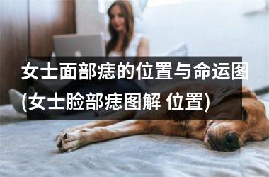 女士面部痣的位置与命运图(女士脸部痣图解 位置)