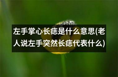 <h3>左手掌心长痣是什么意思(老人说左手突然长痣代表什么)