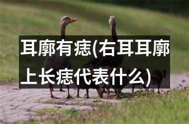 <h3>耳廓有痣(右耳耳廓上长痣代表什么)