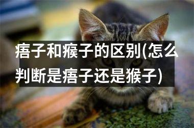 痦子和瘊子的区别(怎么判断是痦子还是猴子)