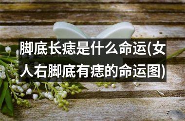 <h3>脚底长痣是什么命运(女人右脚底有痣的命运图)