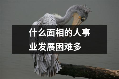 什么面相的人事业发展困难多