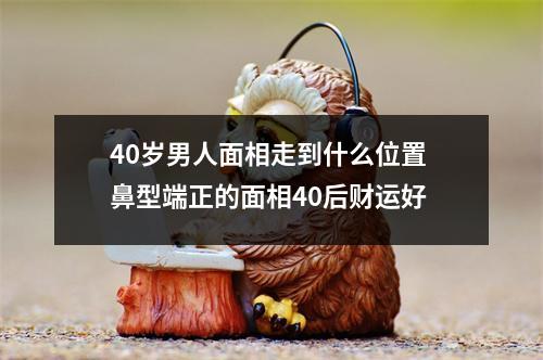 40岁男人面相走到什么位置鼻型端正的面相40后财运好