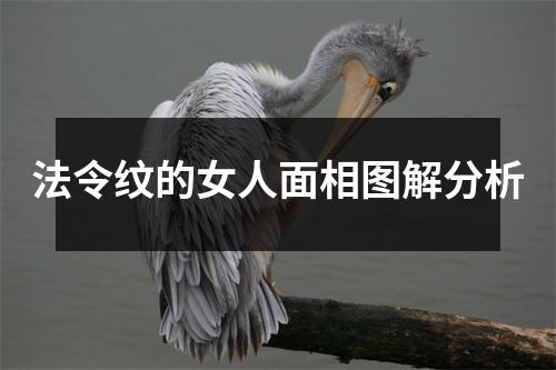 法令纹的女人面相图解分析