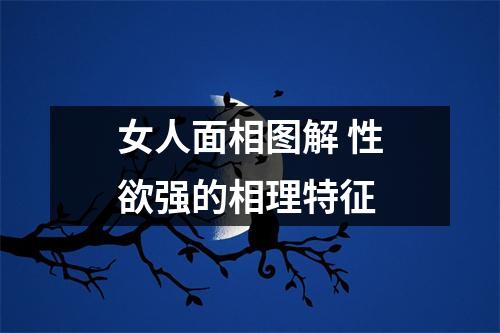 女人面相图解性欲强的相理特征