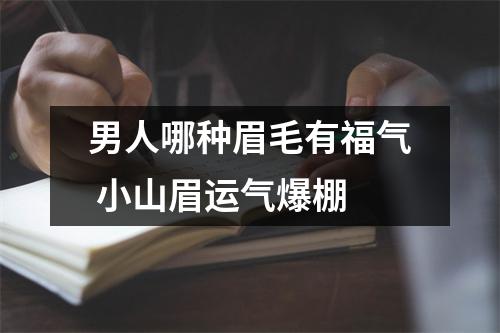 男人哪种眉毛有福气小山眉运气爆棚