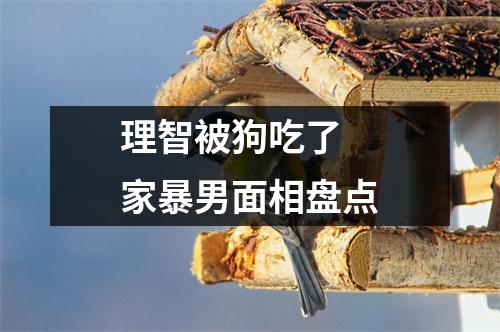 理智被狗吃了家暴男面相盘点