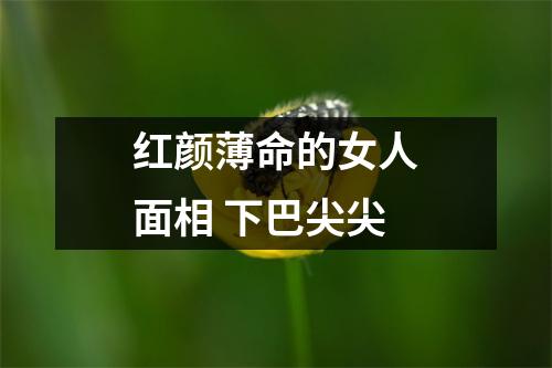 红颜薄命的女人面相下巴尖尖