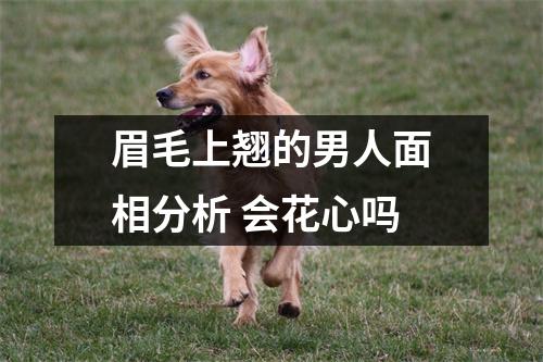 眉毛上翘的男人面相分析会花心吗