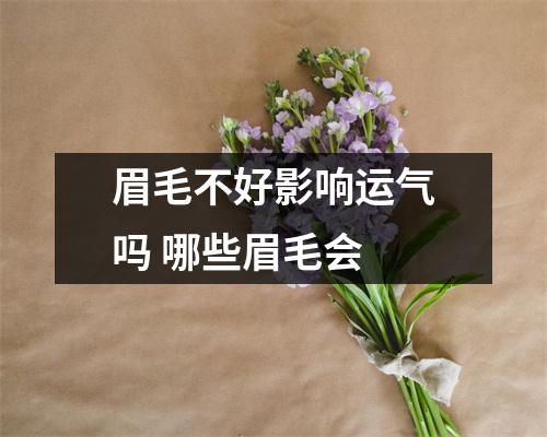 眉毛不好影响运气吗哪些眉毛会