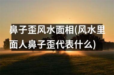 <h3>鼻子歪风水面相(风水里面人鼻子歪代表什么)