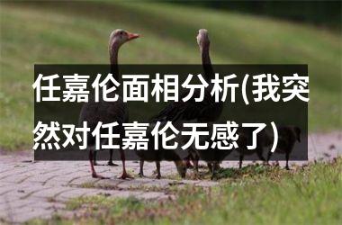 <h3>任嘉伦面相分析(我突然对任嘉伦无感了)